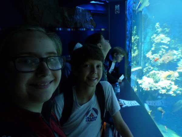 International Summer Camp