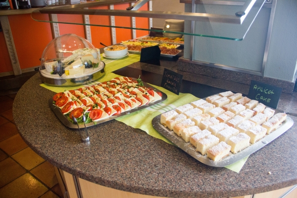 International Summer Camp