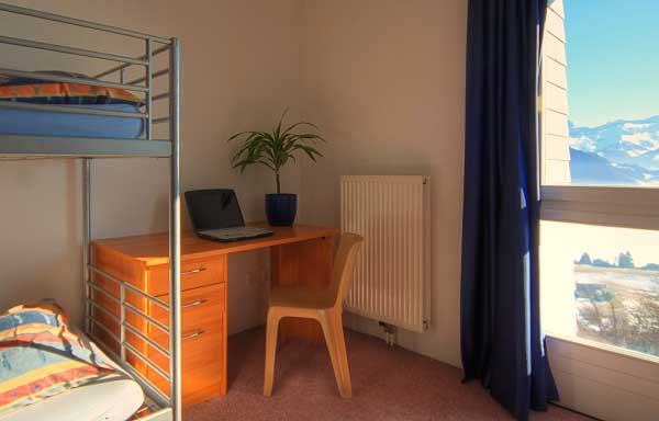 International Summer Camp