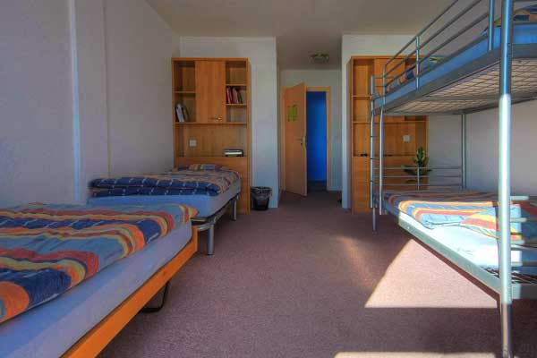 International Summer Camp
