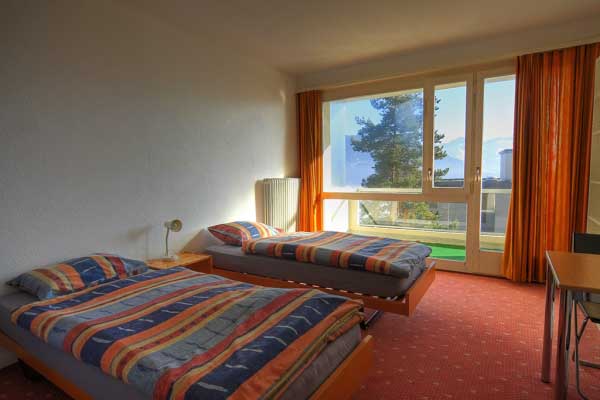 International Summer Camp