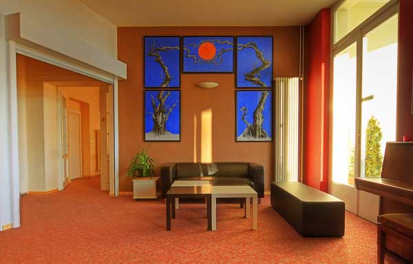 International Summer Camp