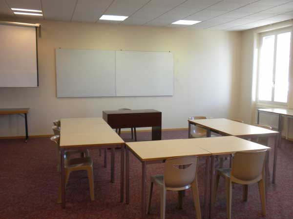 International Summer Camp