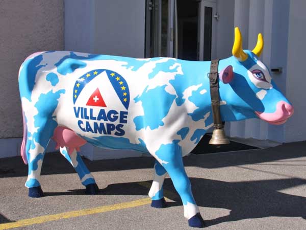 International Summer Camp