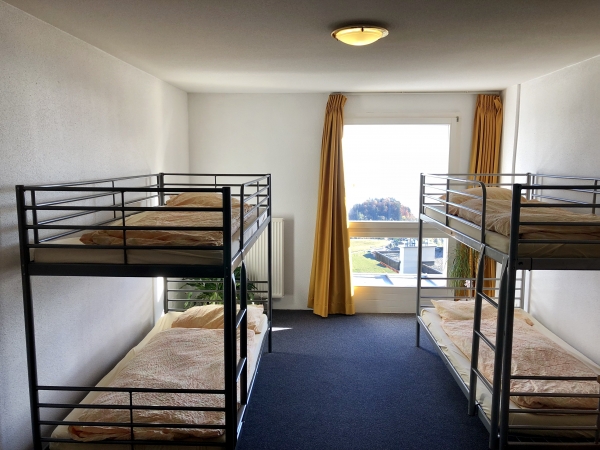 International Summer Camp