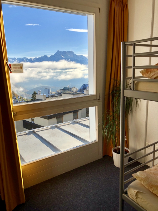 International Summer Camp