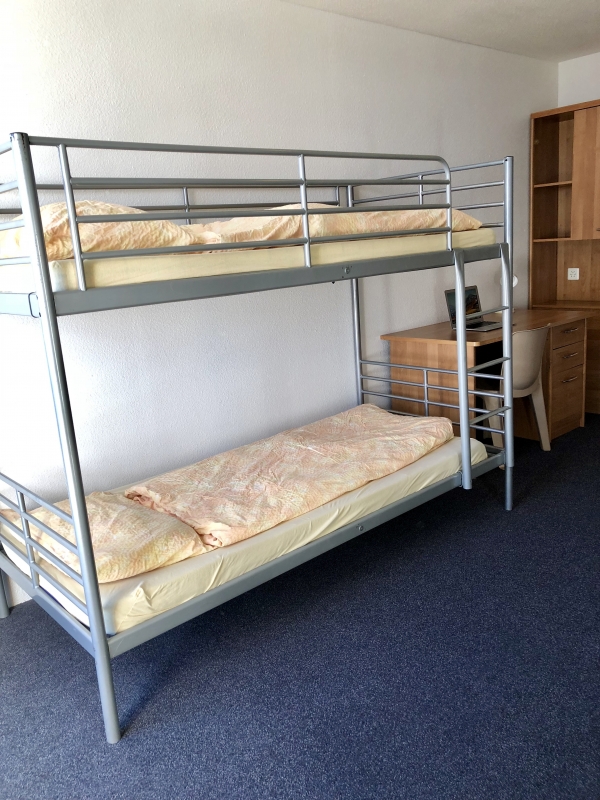 International Summer Camp