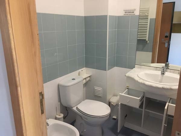 International Summer Camp