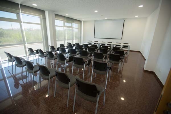 International Summer Camp