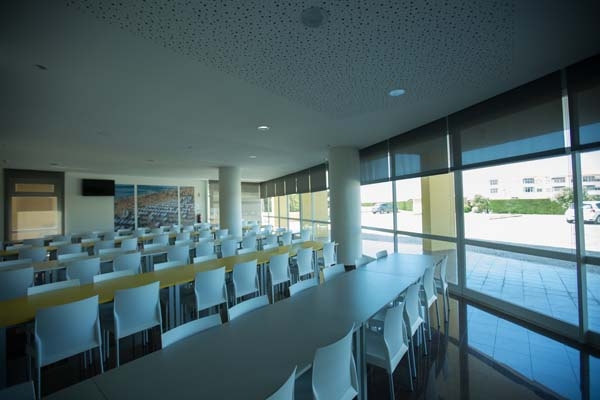 International Summer Camp