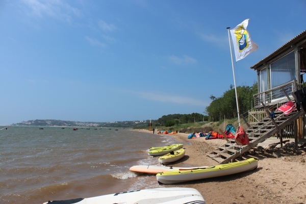 International Summer Camp