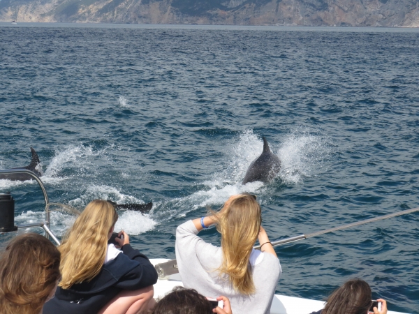 International Summer Camp